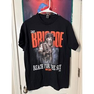 Jay Briscoe Wrestling T-Shirt Reach For The Sky 1984-2023 Tribute Memorial